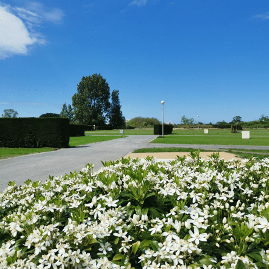 Camperplaats Koksijde