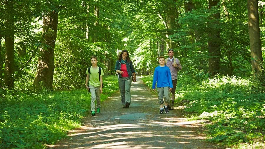 5x zien en doen in Bad Bentheim
