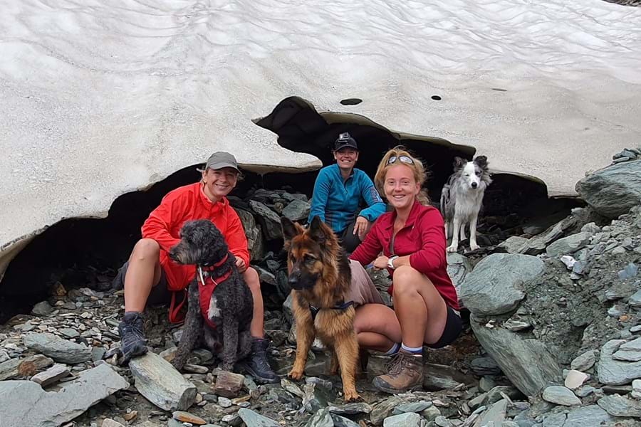 Camper vrienden met honden