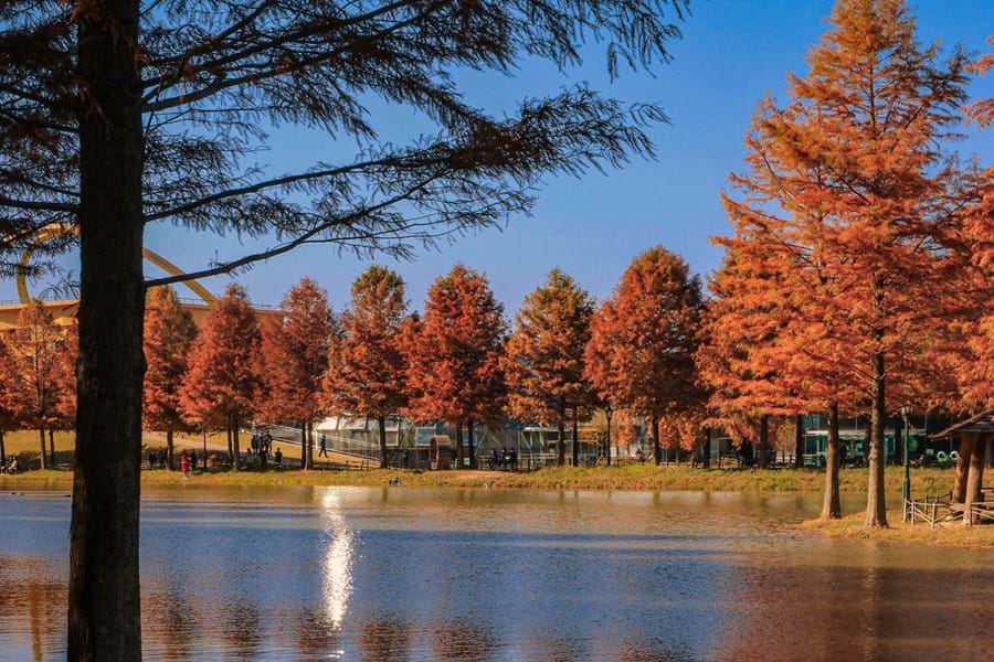 camperen-in-de-herfst-duitsland