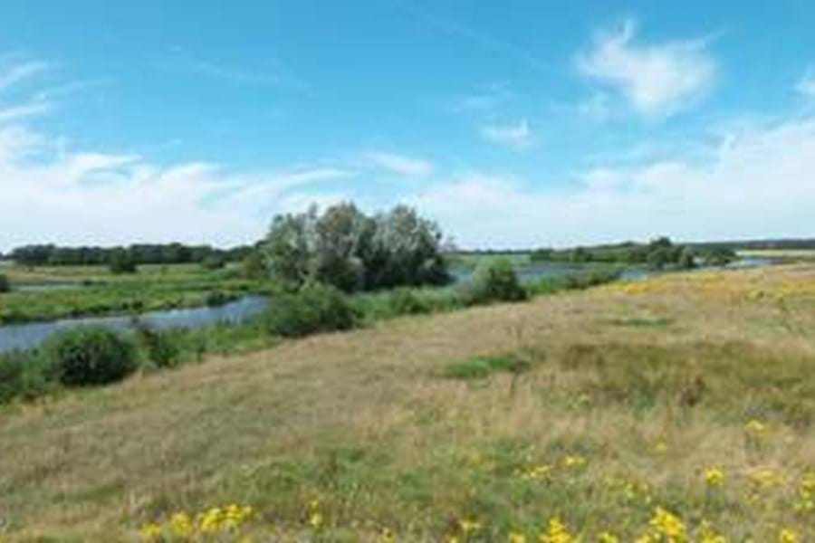 Camperplaatsen aan de Vecht, Anevelde, Overijssel