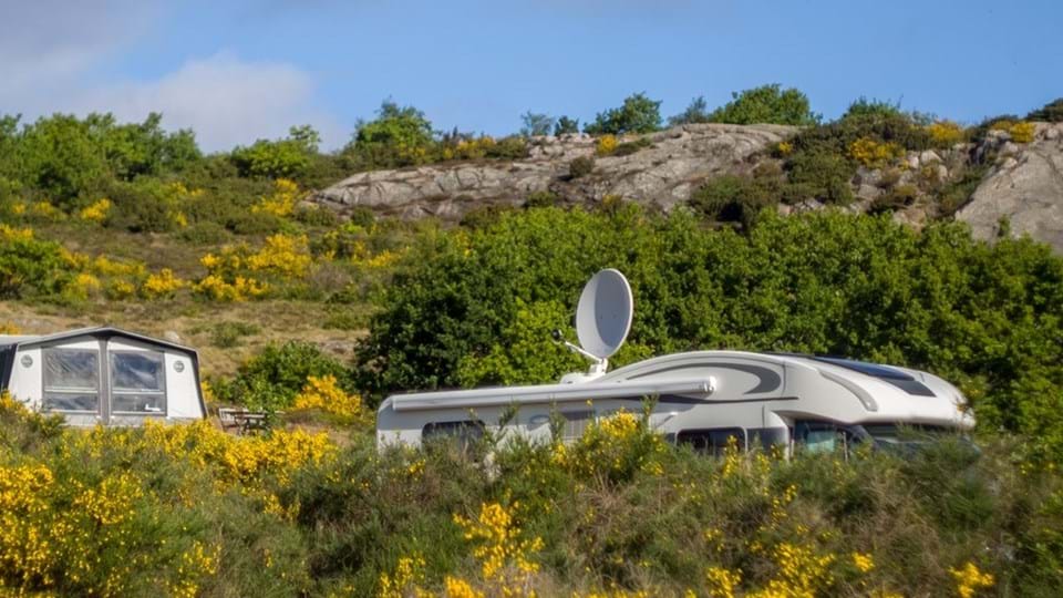 Campers en natuur in Denemarken