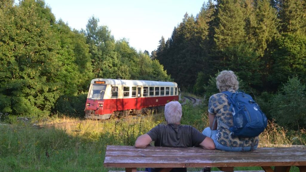 dsc_2-triebwagen-1