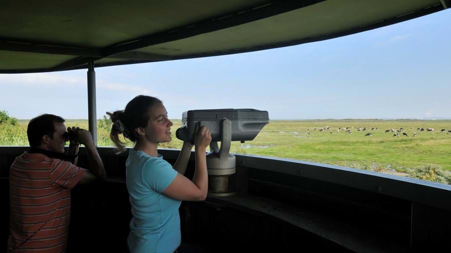 duinen-van-goeree-kijker