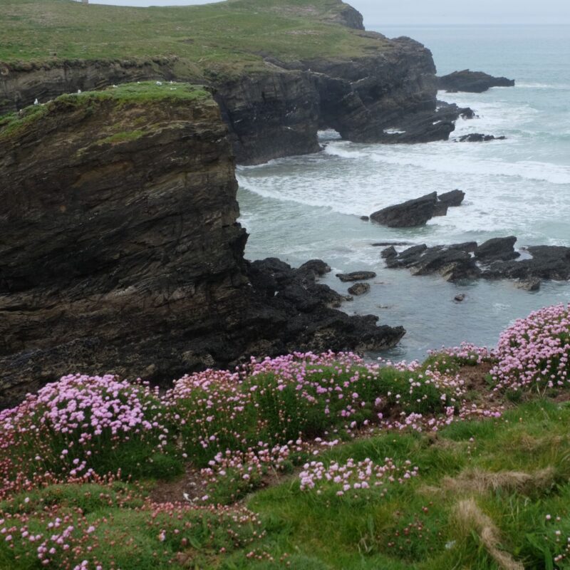 Zuid-Engels genieten | 2027-016