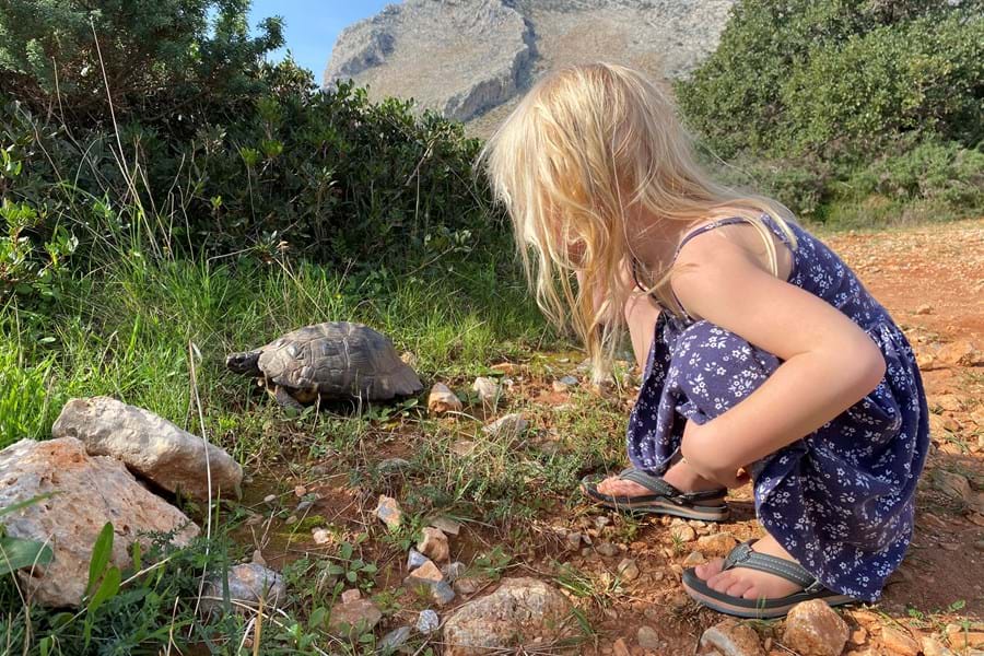 Vakantie kinderen schildpad