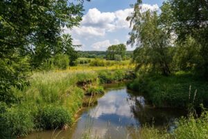 beekje in groen Zuid-Limburgs landschap