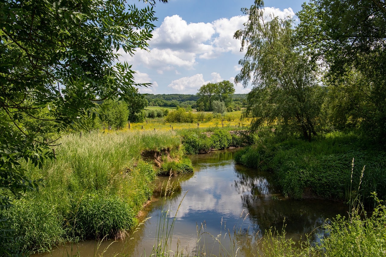 Natuur in Limburg