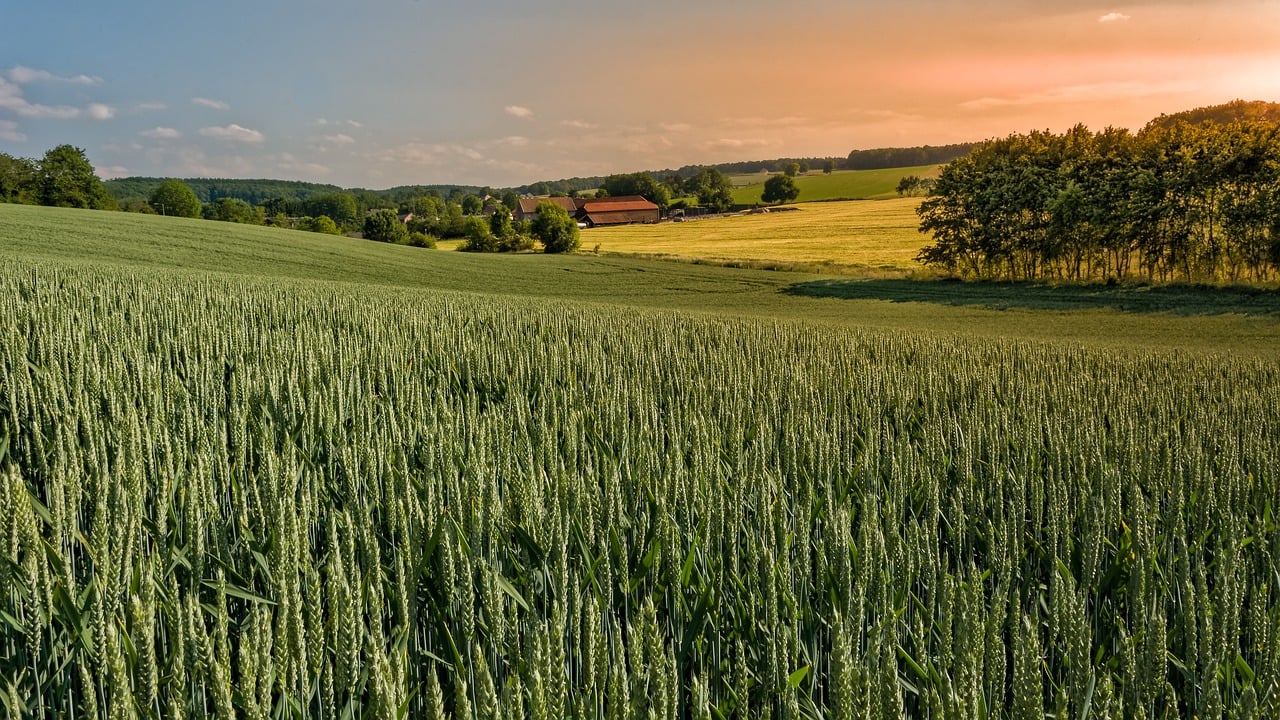 Glooiend landschap in Limburg