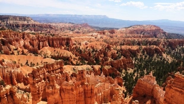 Bryce