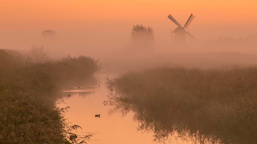 nederland-1