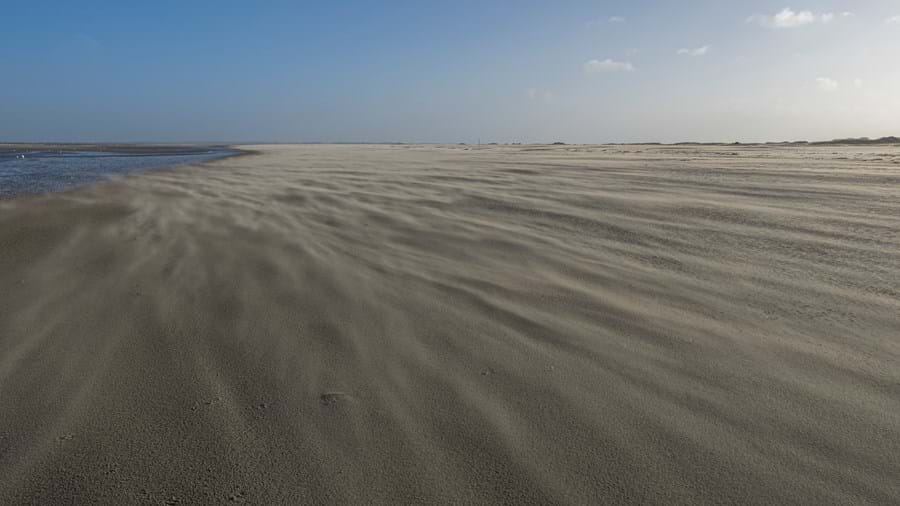 strand-middelduinen