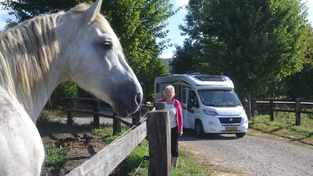 RKL Le Perche 10. Percherons
