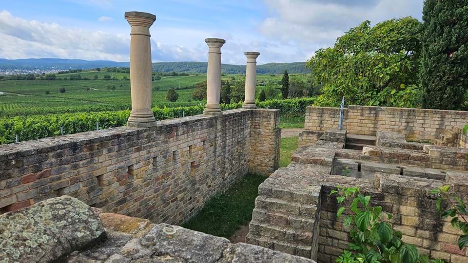 Opgraving en wijnaarden