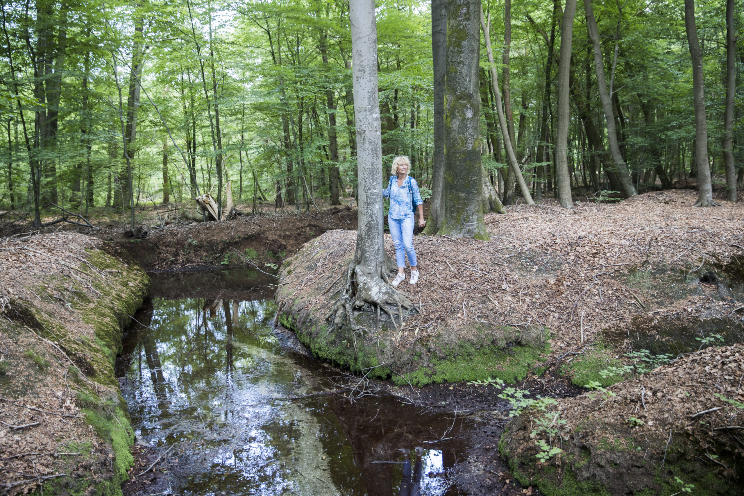 Wandelen Motketel
