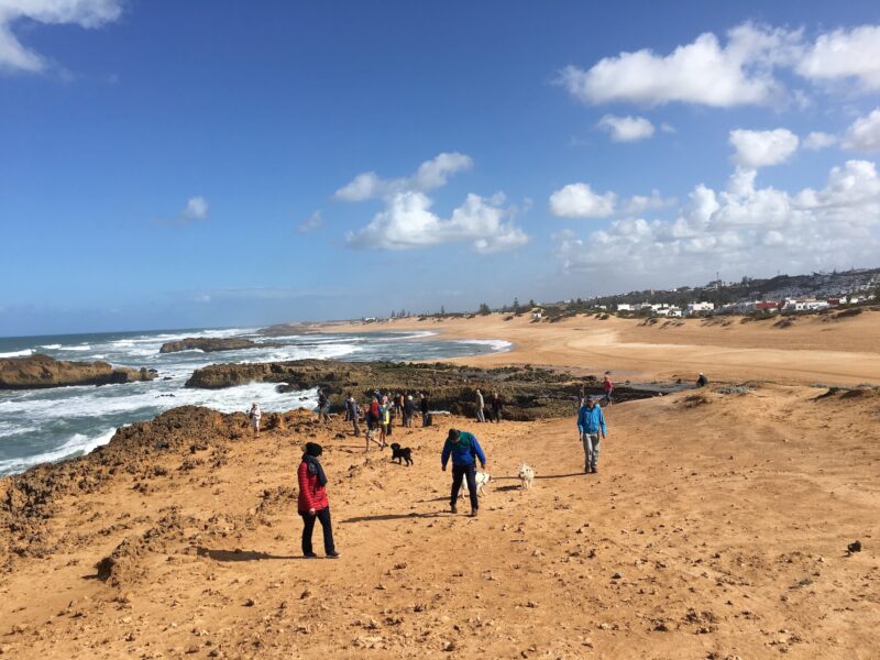 marokko-oualidia-strand-wandeling-79