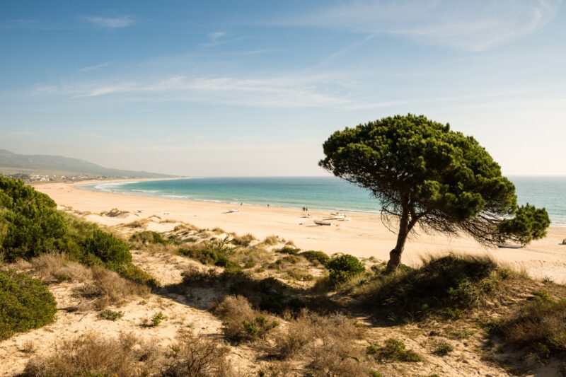 spanje-van-kust-tot-kust-costa-de-la-luz-strand-zee-boom