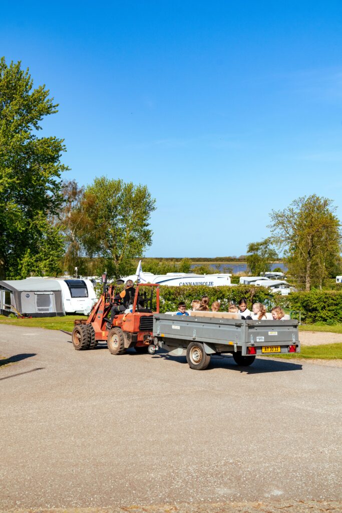 Kinderen in kar op de camping