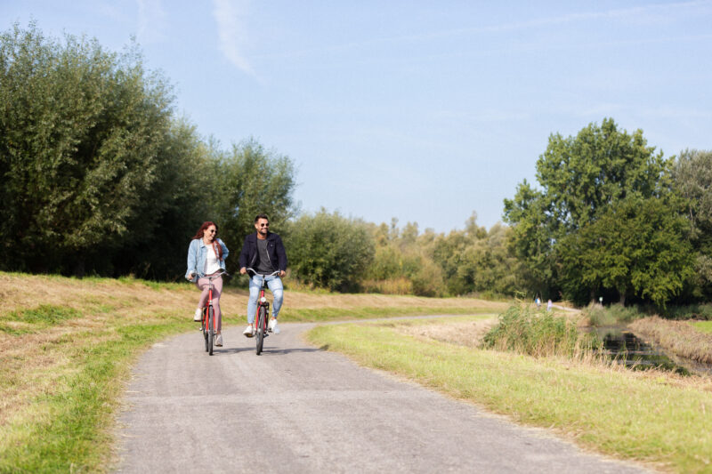Fietsen in de Biesbosch
