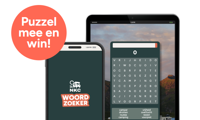 Schermafbeelding 2024-12-03 153705