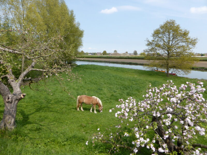tjabeljan (CC BY 2.0) via Flickr – Lingepad Bloesemroute Tiel