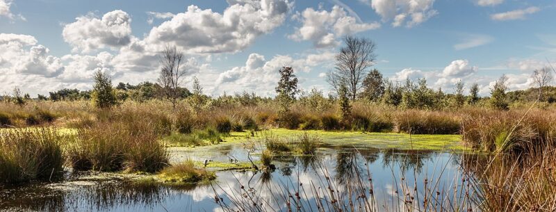 nationaal park drents friese wold