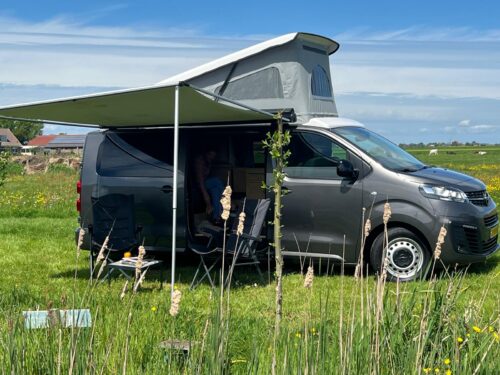Evanture camperbus op een grasveld