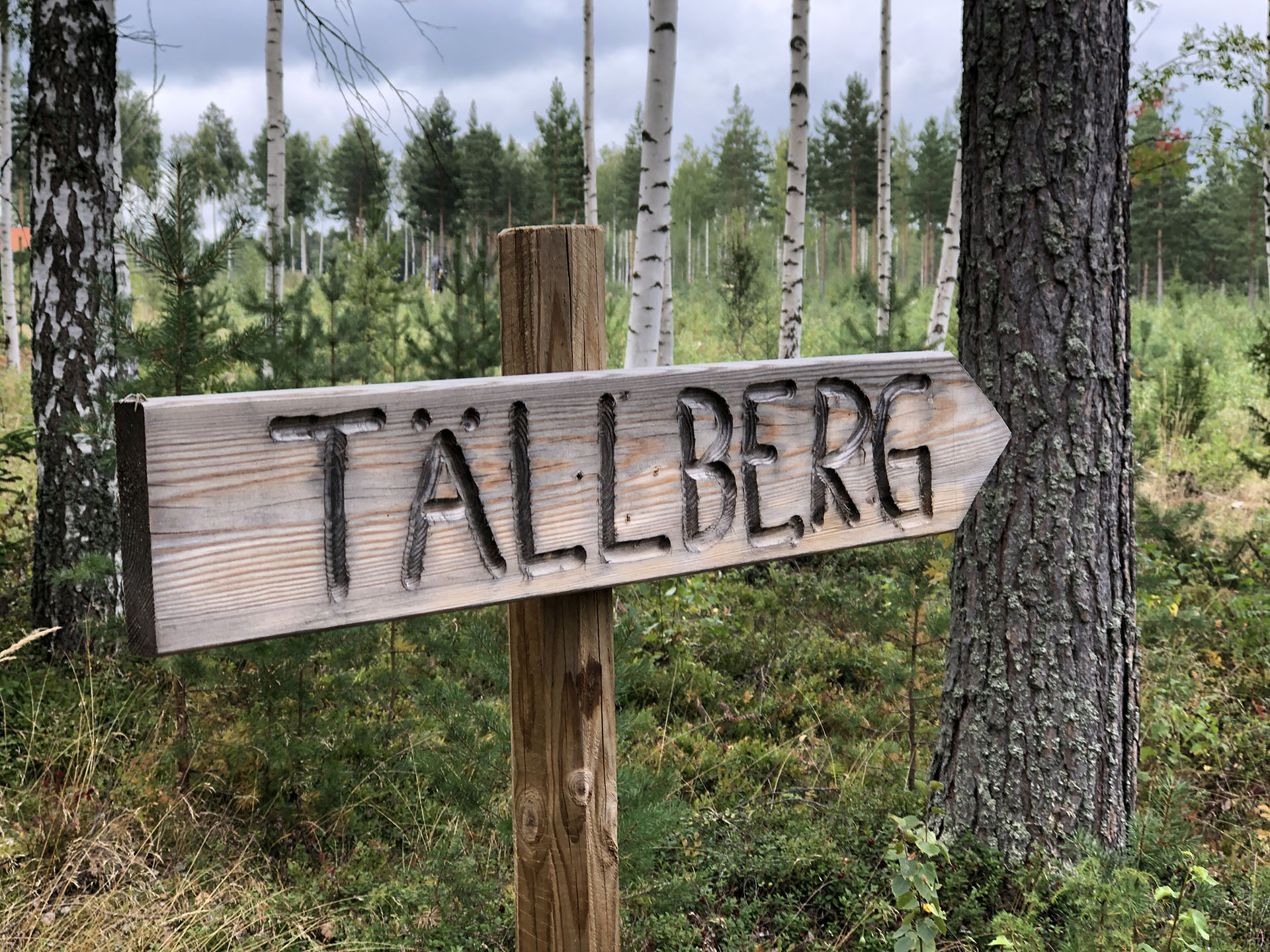 Tallberg route wandelen