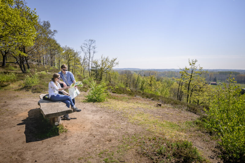 Wandelaars op een heuvel in het Hageland