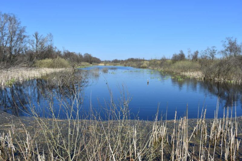 De Groote Peel