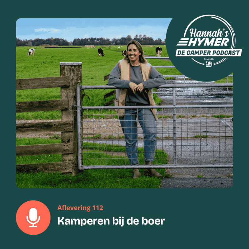 Hannah van Hannah's Hymer in het weiland met koeien op de achtergrond