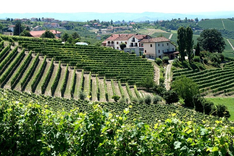 piemont