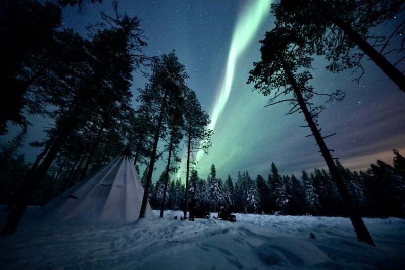Groen noorderlicht boven een bos in Rovaniemi, Finland