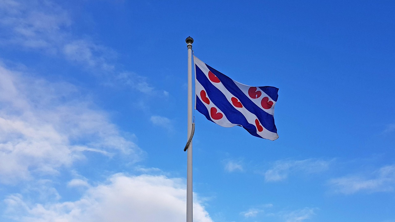 Friese vlag