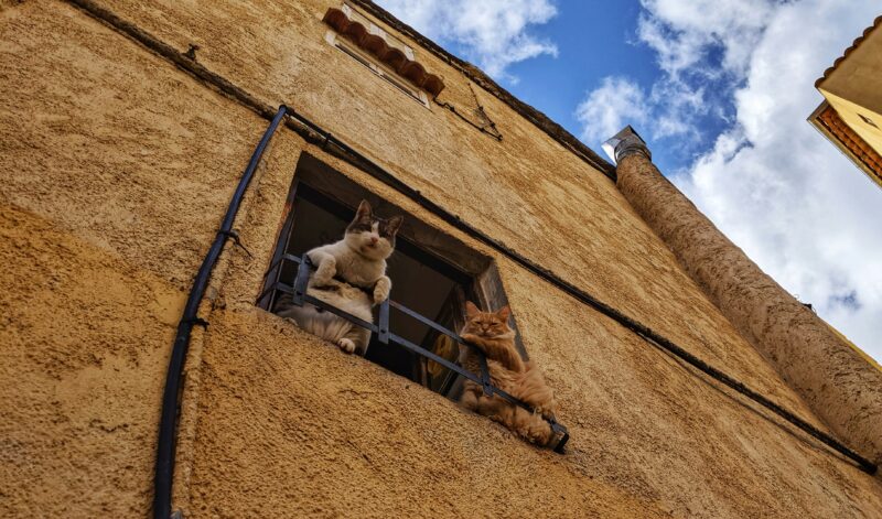 Calvi, Corsica