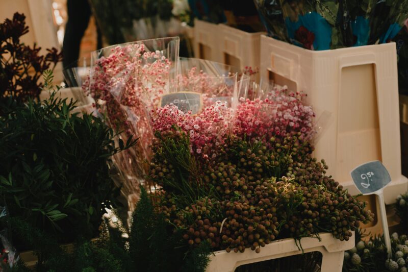 Bloemen in Maastricht, Nederland