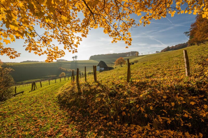 Duitsland Sauerland - Markus Trienke (CC BY-SA 3.0) via Wikimedia Commons