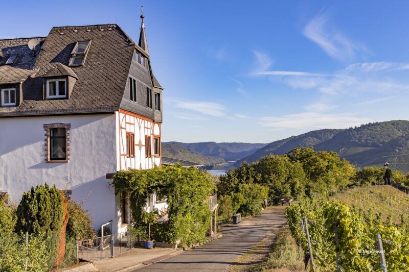 Yoga langs de moezel