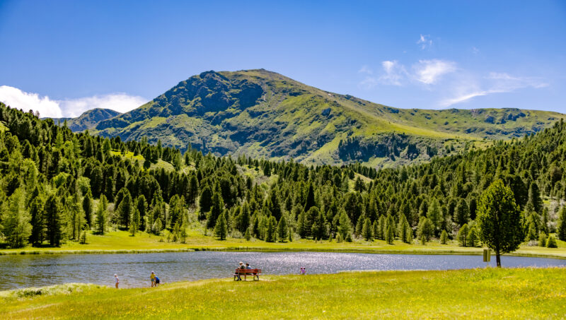 Zirbitzkogel_Almrausch21-18