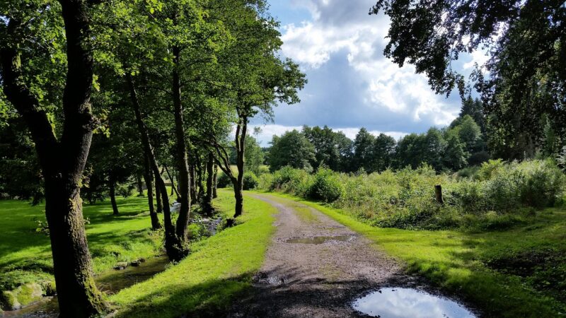 Ardennen
