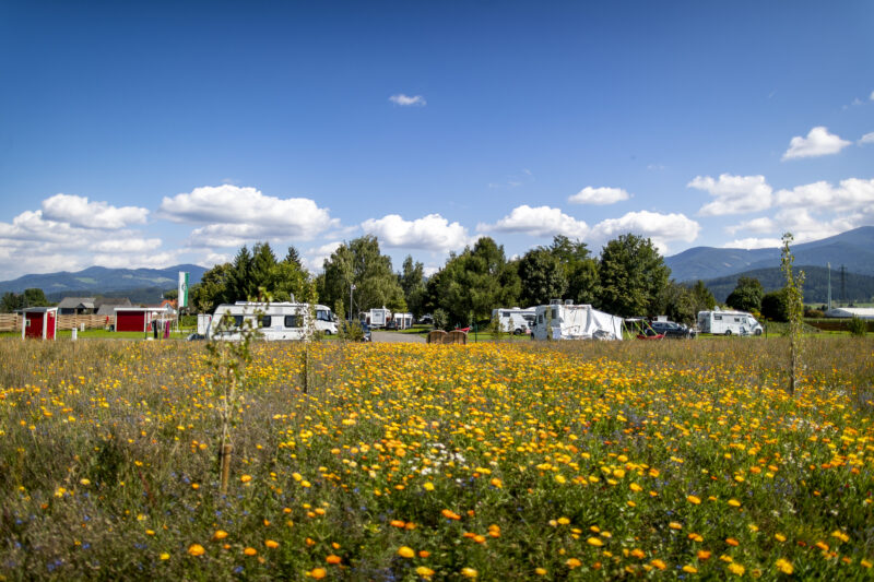 (c) 50plus Campingpark Fisching (32)