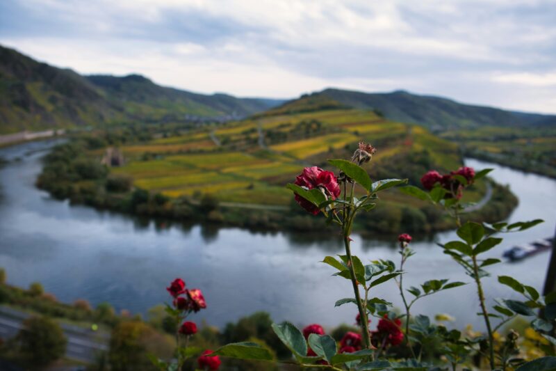 joshua-kettle-1u-xbl40p9E-unsplash