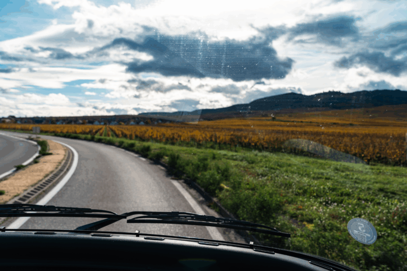 Elzas_Herfstvakantie_2025_© Jannes Drop_JDA09561.jpg