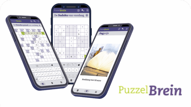 Puzzelbrein app