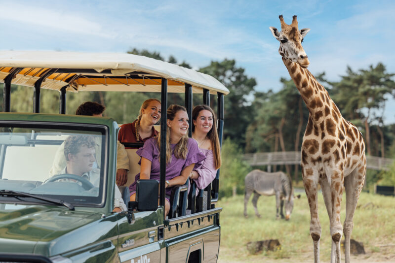 Familie weekend Beekse Bergen | 2026-949