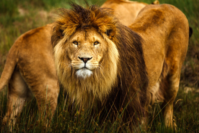 Familie weekend Beekse Bergen | 2026-949