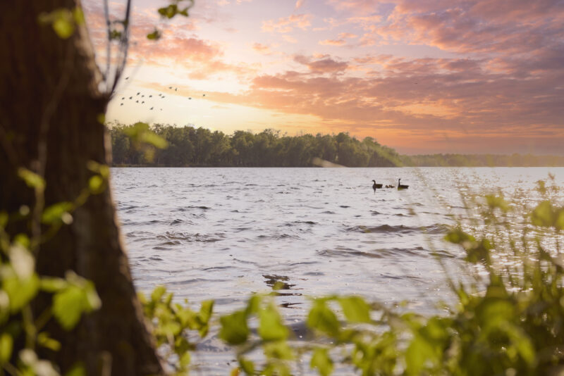 Familie weekend Beekse Bergen | 2026-949