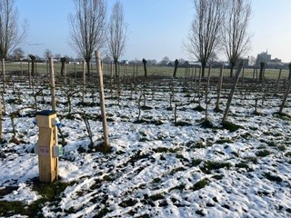 Deel van Camperplaats Voorst in de winter