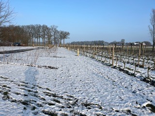 Nieuwe camperplaats in Voorst in de sneeuw