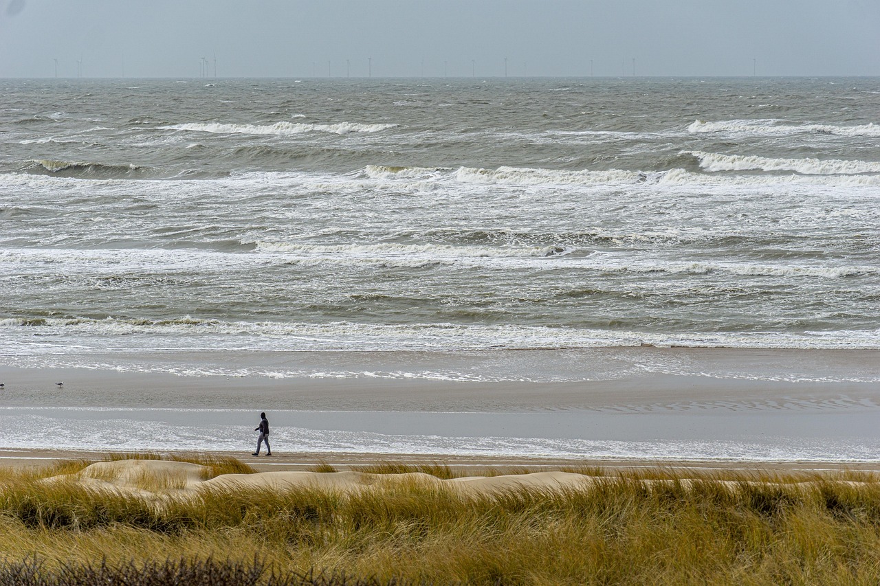 nederlandse kust
